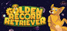Golden Record Retriever Image