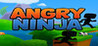 Angry Ninja