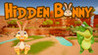Hidden Bunny Image