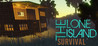 THE LONE ISLAND SURVIVAL Image