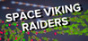 Space Viking Raiders Image