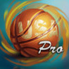 US Basketball Pro Image