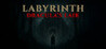 Labyrinth : Dracula's lair Image