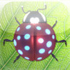 Buggled Image