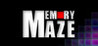 Memory Maze (2021) Image
