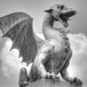Choice of the Dragon Image