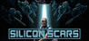 Silicon Scars