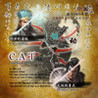 C.A.T Image