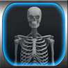 X-Ray Maker - Kids Game and More Image