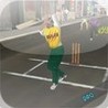 Street Cricket Pro Image