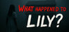 What Happened to Lily? Image