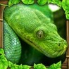 Snake Simulator Image