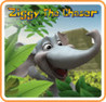 Ziggy the Chaser Image