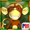 Monkey Money Slots Image