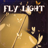 Fly Light Image