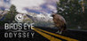 Bird's Eye Odyssey Image