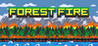 Forest Fire Image