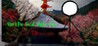 Man 3: The Social Media Wars Image