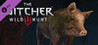 The Witcher 3: Wild Hunt - New Quest: 'Fool's Gold' Image