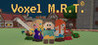 Voxel M.R.T. Image
