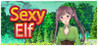 Sexy Elf Image