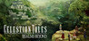 Celestian Tales: Realms Beyond Image
