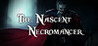 The Nascent Necromancer Image
