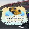 Racing Karts Image