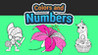 Colors and Numbers