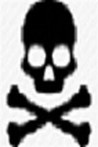 The Skull