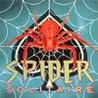 Spider Solitaire Image