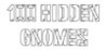 100 hidden gnomes Image