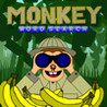 Monkey Wordsearch Image