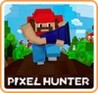 Pixel Hunter Image