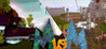 MvsM Image