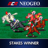 ACA NeoGeo: Stakes Winner Image