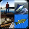 Fishing Hits Collection 4-in-1 Image