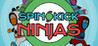 Spin Kick Ninjas Image