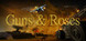 Guns and Roses Product Image