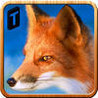 Life of Wild Fox Image