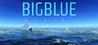 Big Blue: Memory Image