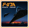 F-117A Stealth Fighter Image