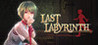 Last Labyrinth Image