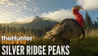 theHunter: Call of the Wild - Silver Ridge Peaks Image