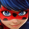 Miraculous Ladybug & Cat Noir Image