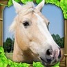 Wild Horse Simulator Image