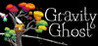Gravity Ghost Image