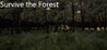 Survive The Forest Image