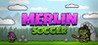 Merlin Soccer Image