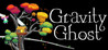 Gravity Ghost Image